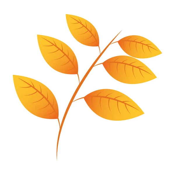 Осенняя ветвь с сезонными листьями — стоковый вектор