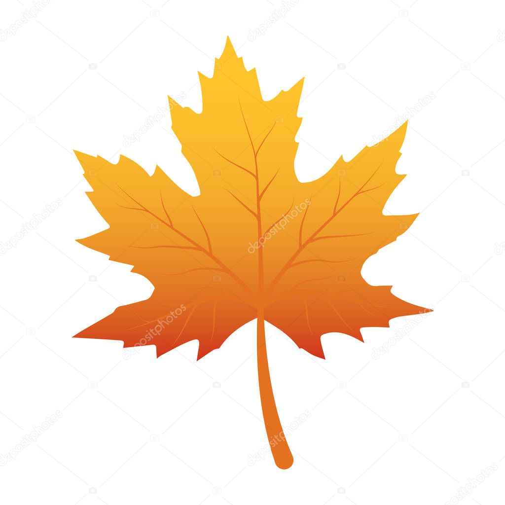 autumn leaf foliage seasonal icon