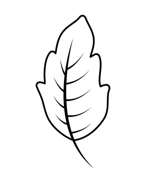 Сезонная икона осенних листьев — стоковый вектор