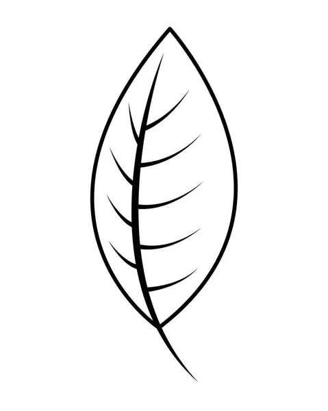 Ikona jesień liści liść sezonowe — Wektor stockowy