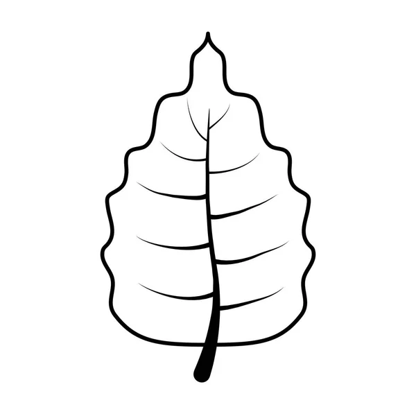 Сезонная икона осенних листьев — стоковый вектор