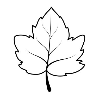 sonbahar yaprak yaprakları mevsimsel simgesi