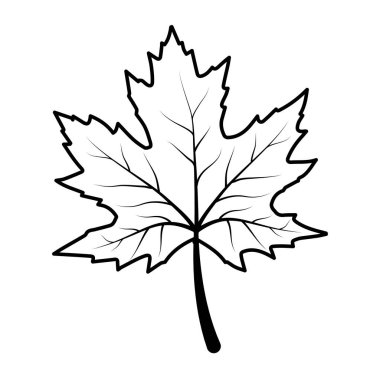 sonbahar yaprak yaprakları mevsimsel simgesi