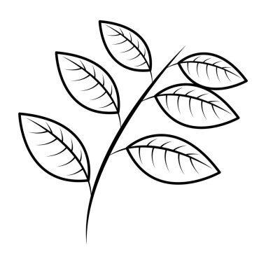 yaprak yaprakları mevsimsel ile sonbahar dalı