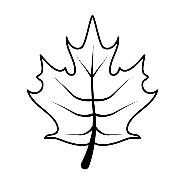 Hoja de otoño follaje icono estacional — Vector de stock