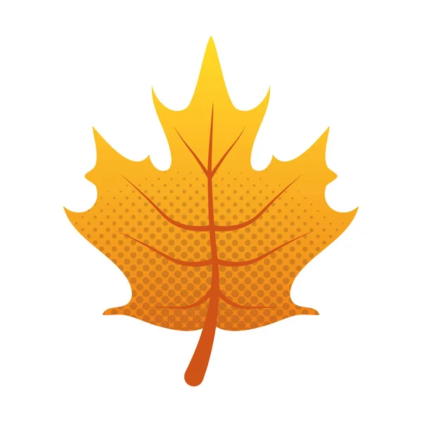 秋の葉の葉の季節のアイコン — ストックベクタ