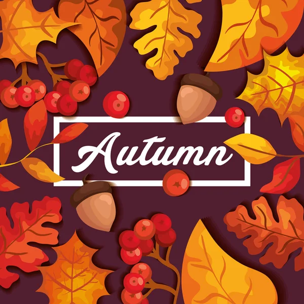 Herbst Hintergrund mit Blättern und Nüssen Obst — Stockvektor