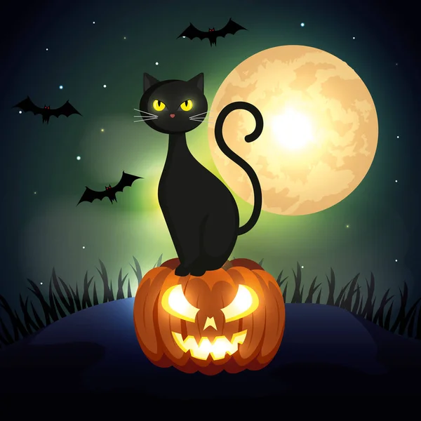Halloween cat over pumpkin in dark night — Stock Vector