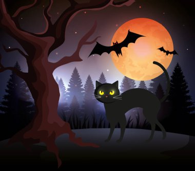 karanlık gecede uçan yarasalar ve ay ile halloween kedi