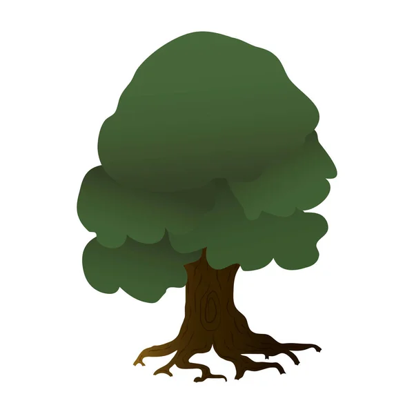 Ağaç bitkisi doğa izole simgesi — Stok Vektör