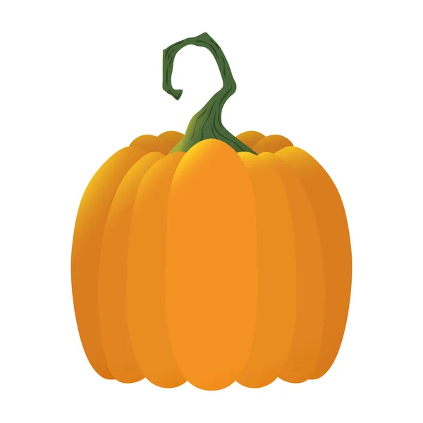 Halloween calabaza fruta icono de temporada — Archivo Imágenes Vectoriales