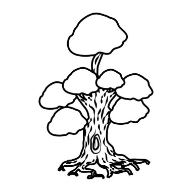 Ağaç bitkisi doğa izole simgesi