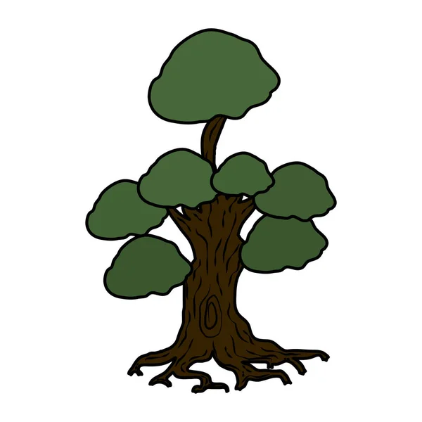 木の植物の性質は — ストックベクタ