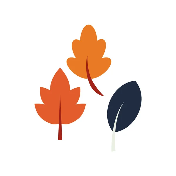 Herfst bladeren seizoensgebonden geïsoleerde pictogram — Stockvector