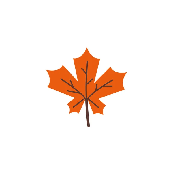 Herfst blad seizoensgebonden geïsoleerd icoon — Stockvector