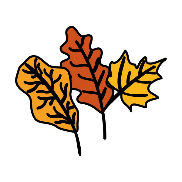 Höst grenar med blad isolerad ikon — Stock vektor