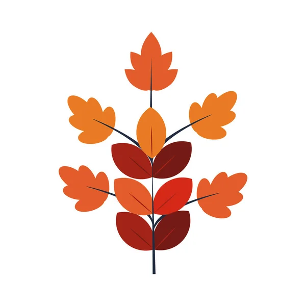 Rama de otoño con hojas iconos de temporada — Vector de stock