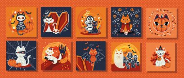 Kedi kılığına girmiş karakterli bir sürü sahne