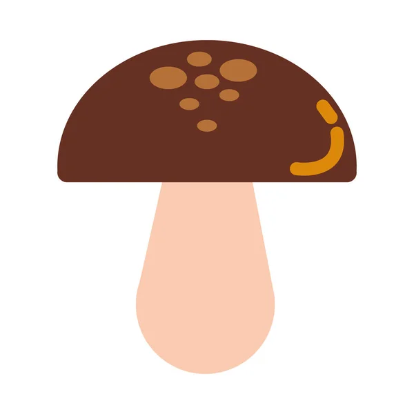 Schimmel herfst seizoensgebonden geïsoleerde pictogram — Stockvector