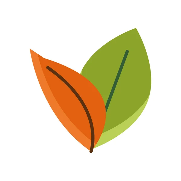 Autumn leafs plant seasonal isolated icon — 스톡 벡터