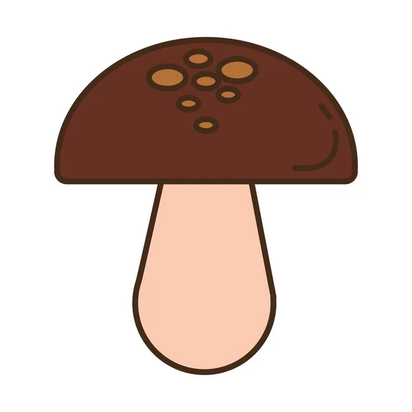 Fungus autumn seasonal isolated icon — Stock Vector