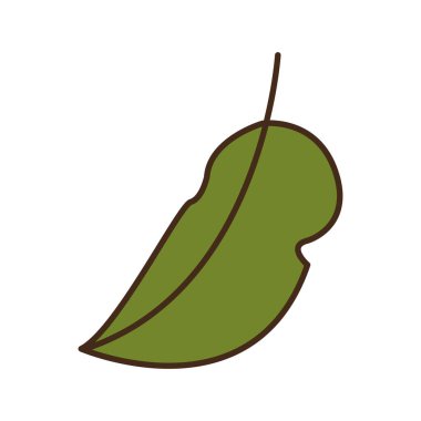 Sonbahar yaprağı bitkisi mevsimsel izole ikonu