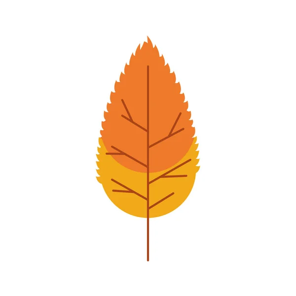 Herbst Blatt Pflanze saisonal isoliert Symbol — Stockvektor