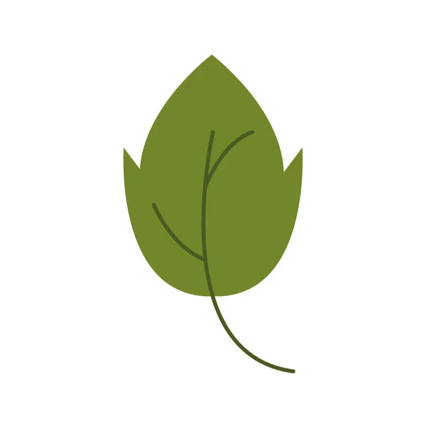 Outono folha planta sazonal ícone isolado — Vetor de Stock