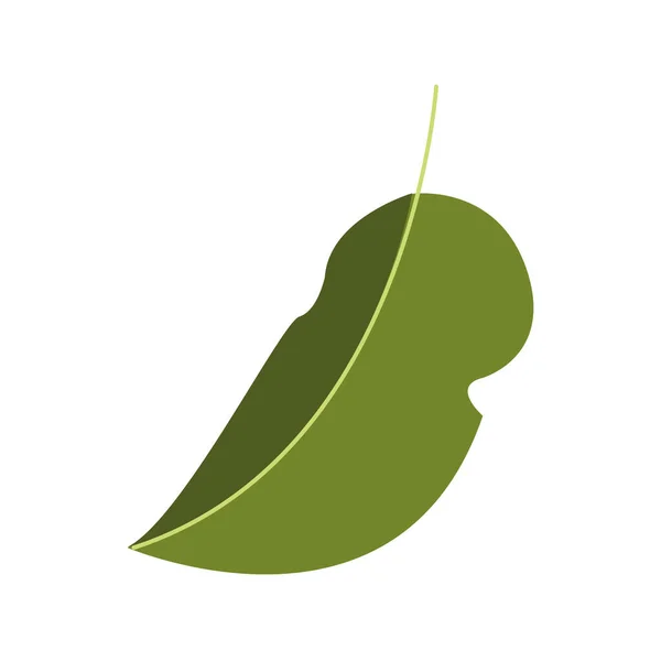 Herfst blad plant seizoensgebonden geïsoleerde pictogram — Stockvector