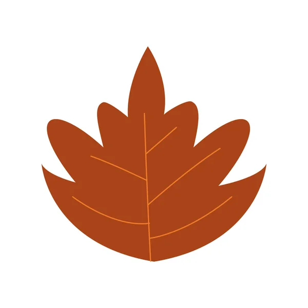 Jesienna ikona odizolowanych roślin liściastych — Wektor stockowy