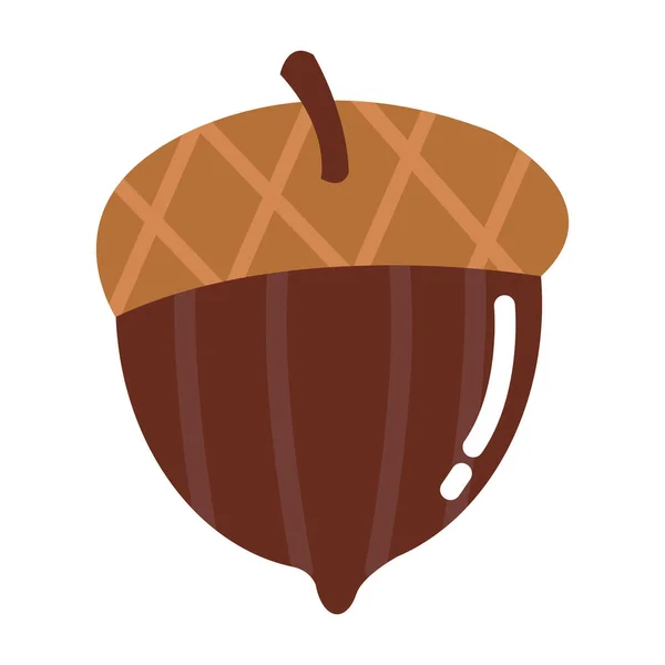 Sezónní izolovaná ikona podzimního ořechu — Stockový vektor