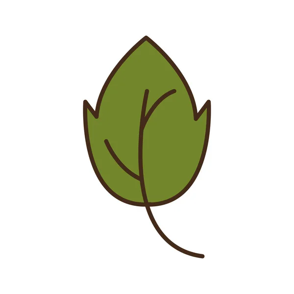 Осінній лист рослини сезонна ізольована ікона — стоковий вектор