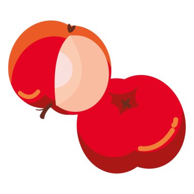 Palamutlar sonbahar meyveleri mevsimlik izole ikonlar