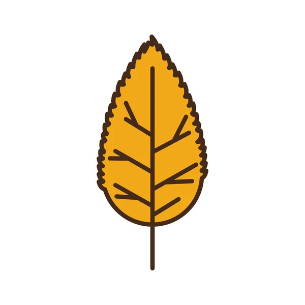Autumn leaf plant seasonal isolated icon — Stock Vector