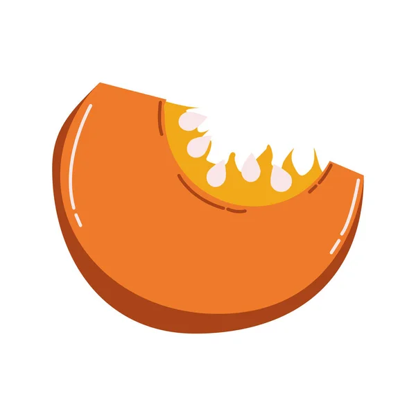 Automne citrouille demi fruit saison isolé icône — Image vectorielle