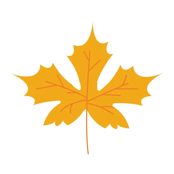 Autumn maple leaf plant seasonal isolated icon — 스톡 벡터