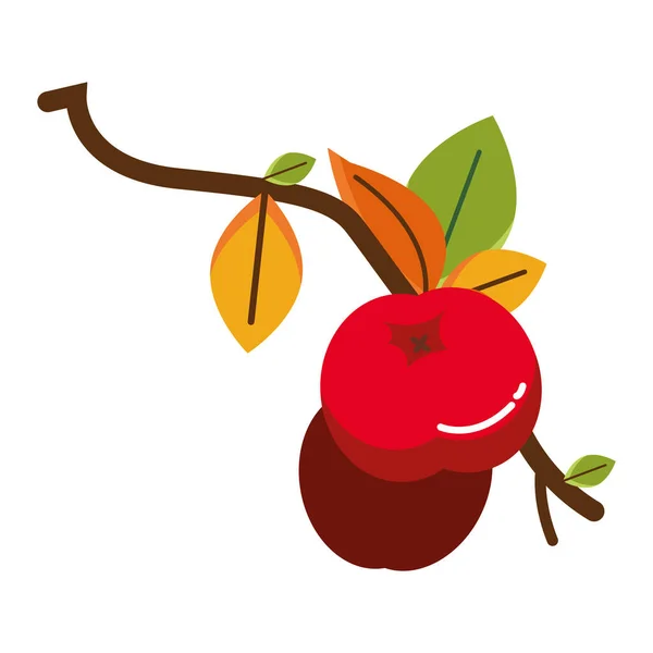 Branch with acorns autumn fruits seasonal — 스톡 벡터