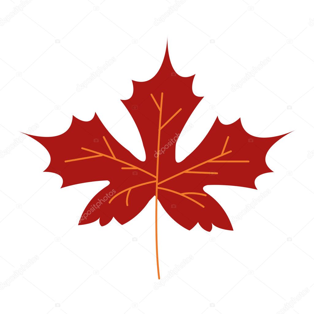 autumn maple leaf plant seasonal isolated icon