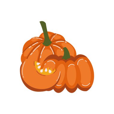 Sonbahar balkabağı meyvesi mevsimlik izole ikonu