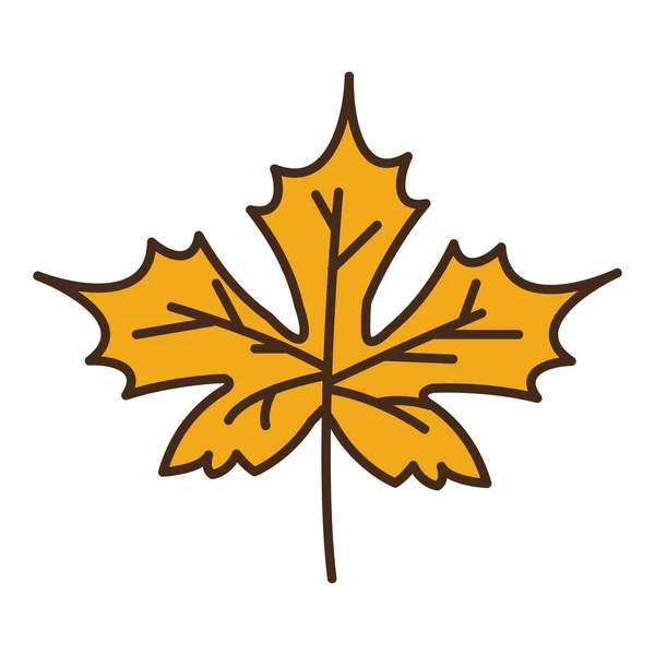 Autumn maple leaf plant seasonal isolated icon — 스톡 벡터