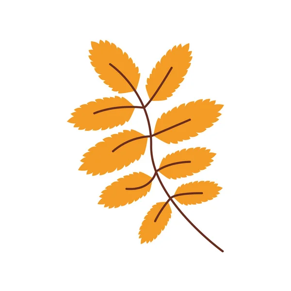 Herfst bladeren plant seizoensgebonden geïsoleerde pictogram — Stockvector