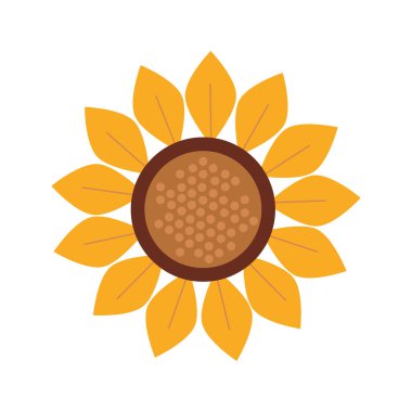 Sonbahar ayçiçeği mevsimsel izole ikonu