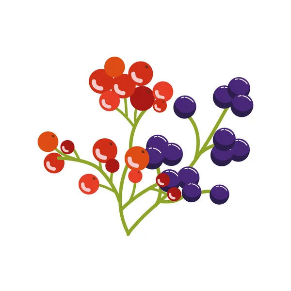 Κλαδί με βελανίδια εποχιακά φρούτα του φθινοπώρου — Διανυσματικό Αρχείο