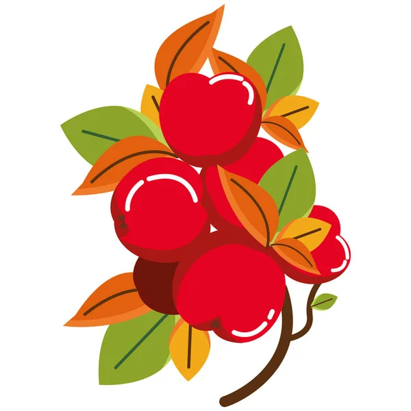 Гілка з жолудями осінні фрукти сезонні — стоковий вектор