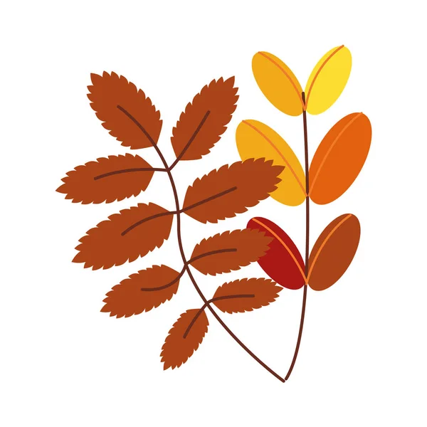 Rama de otoño con hojas plantas estacionales — Vector de stock