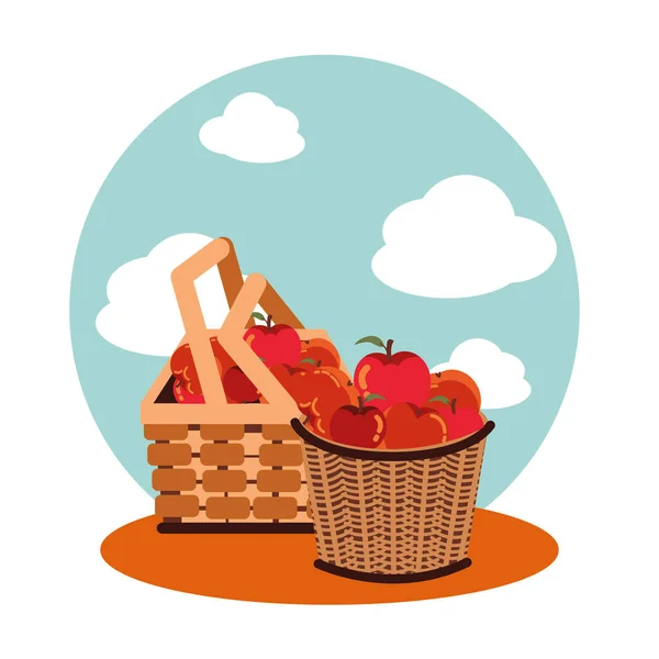 Sonbahar elmaları sepetlerde hasır — Stok Vektör