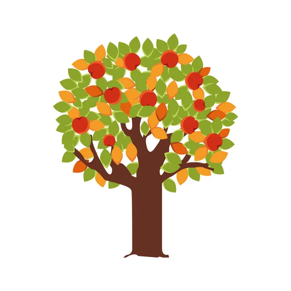 Tree with acorns autumn fruits seasonal — Stock Vector