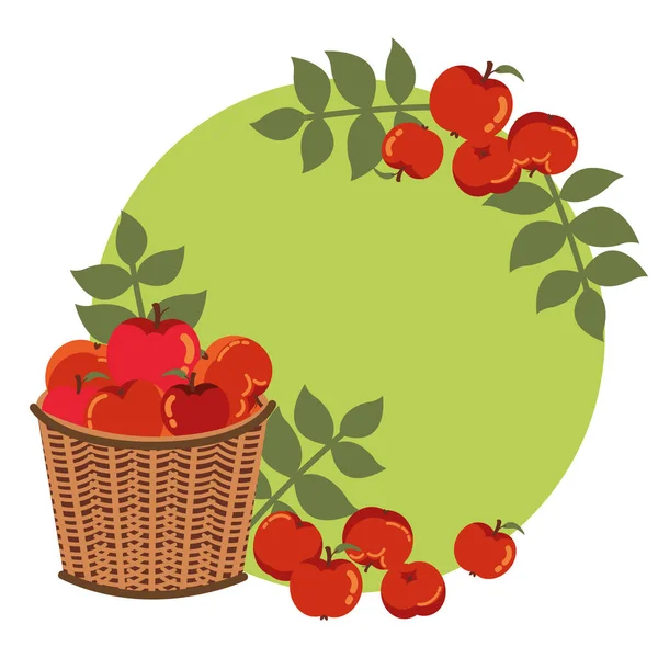 Μήλα του φθινοπώρου σε καλαθάκι ψάθινο με διακόσμηση φύλλων — Διανυσματικό Αρχείο