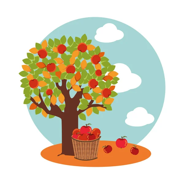 Δέντρο των μήλων το φθινόπωρο με λυγαριά καλάθι — Διανυσματικό Αρχείο