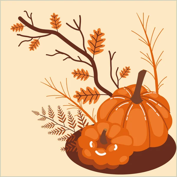 Calabazas de otoño con ramas y hojas — Vector de stock